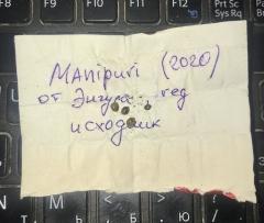 Manipuri seeds.jpg