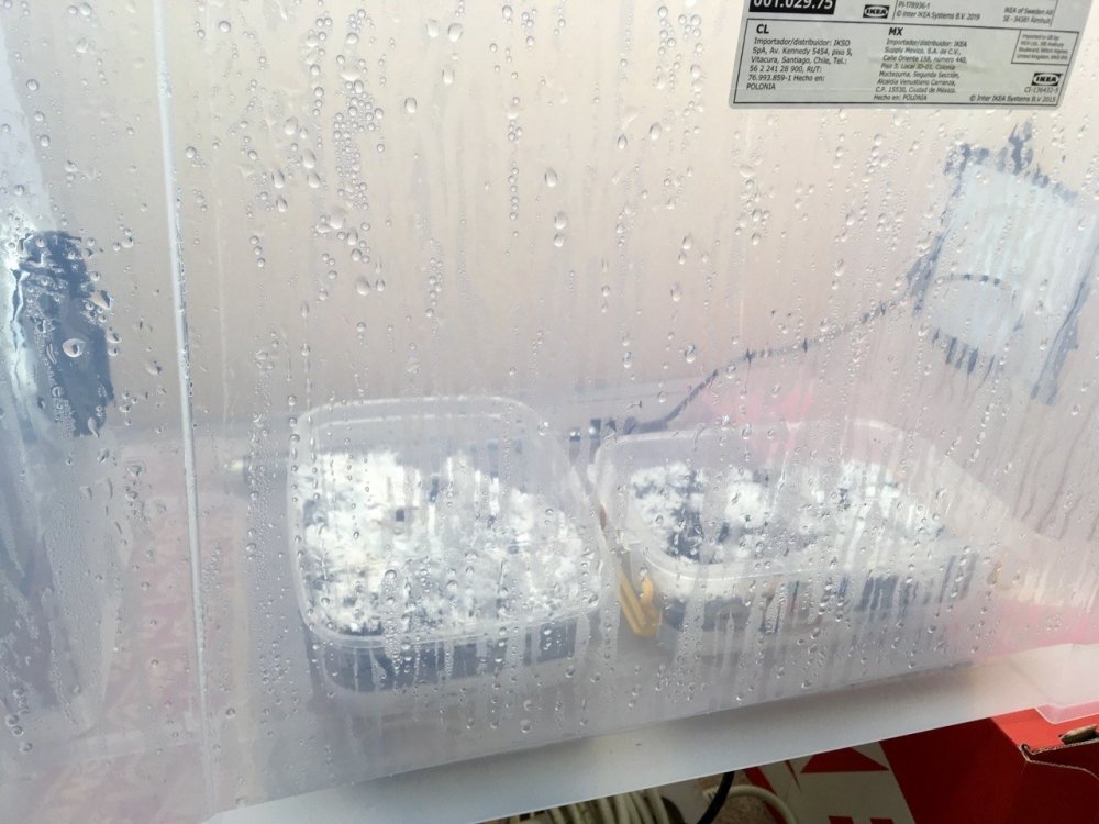 2023-03-29 17.35.32.jpg