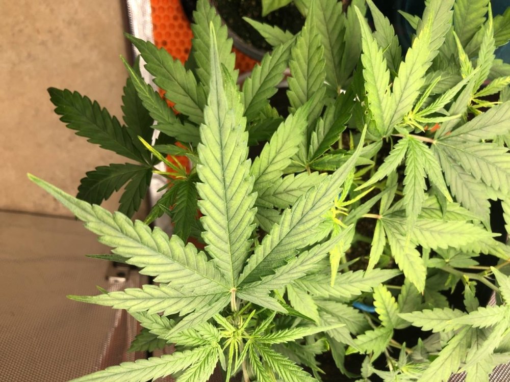 2023-03-02 13.13.30.jpg