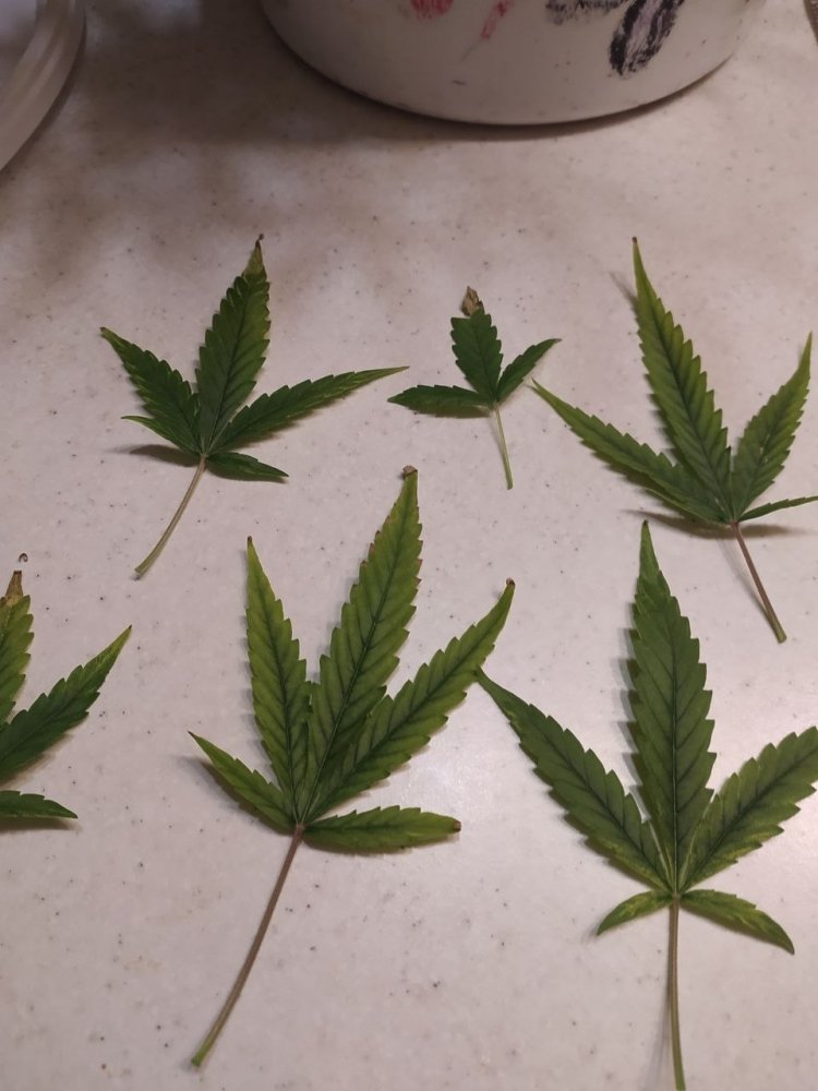 photo_2023-03-20 16.05.15.jpeg