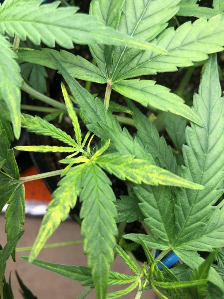 2023-03-02 13.13.12.jpg