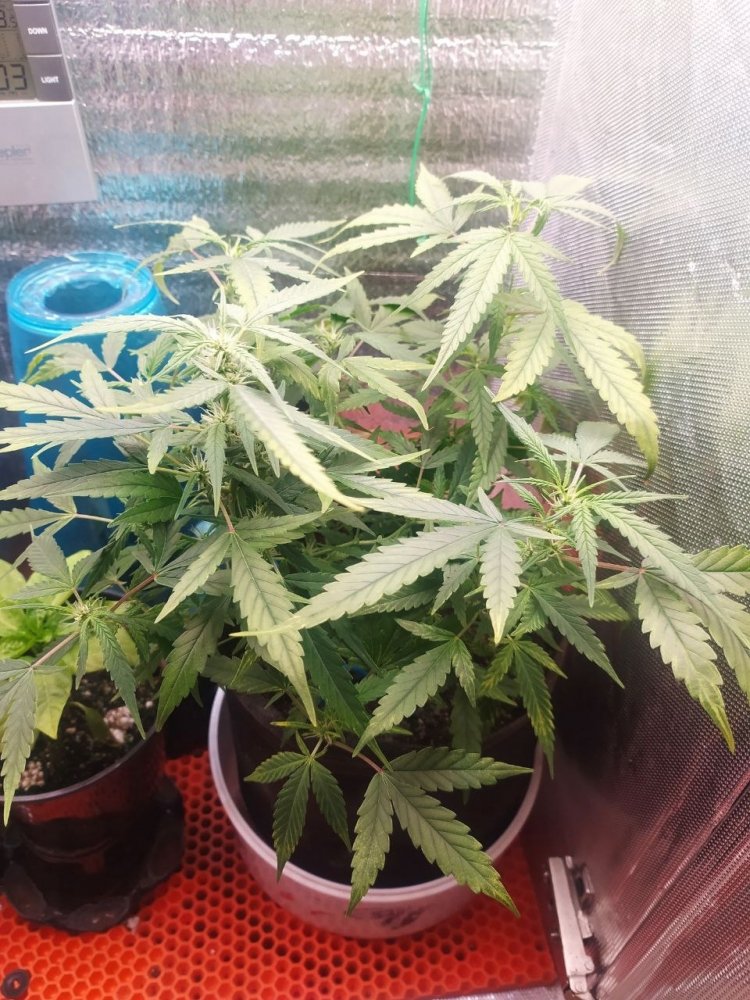 photo_2023-03-20 16.05.05.jpeg