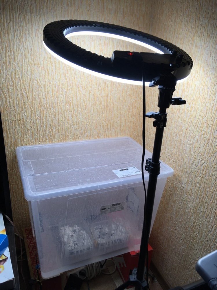 2023-03-29 17.35.28.jpg