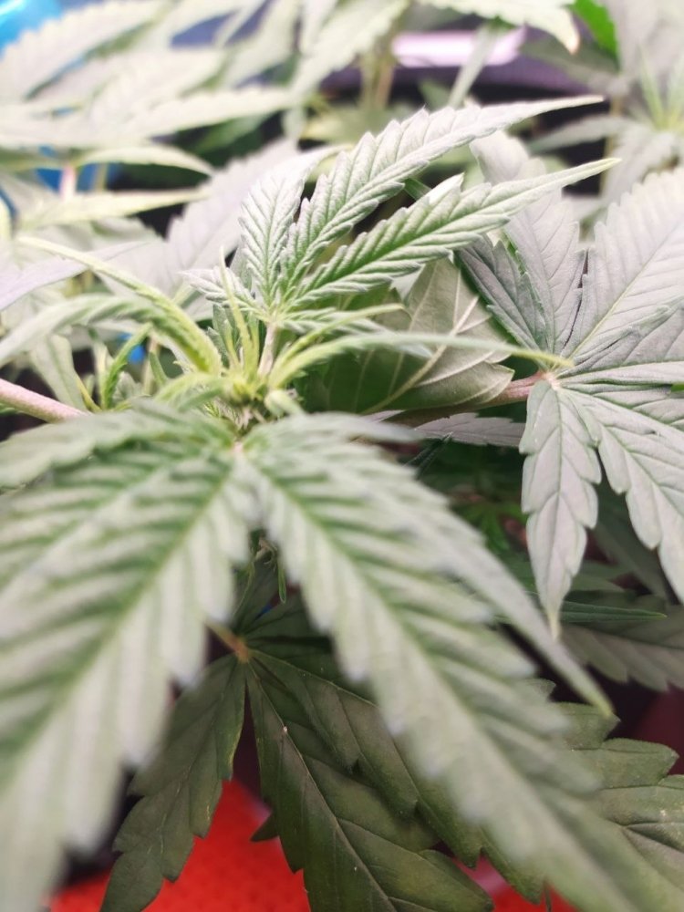 2023-03-02 17.40.26.jpg