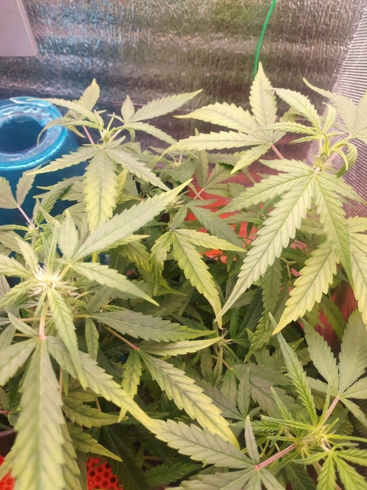 photo_2023-03-20 16.05.01.jpeg