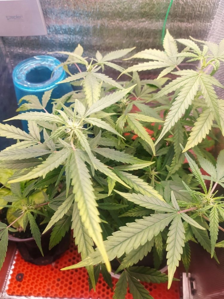 photo_2023-03-20 16.05.08.jpeg