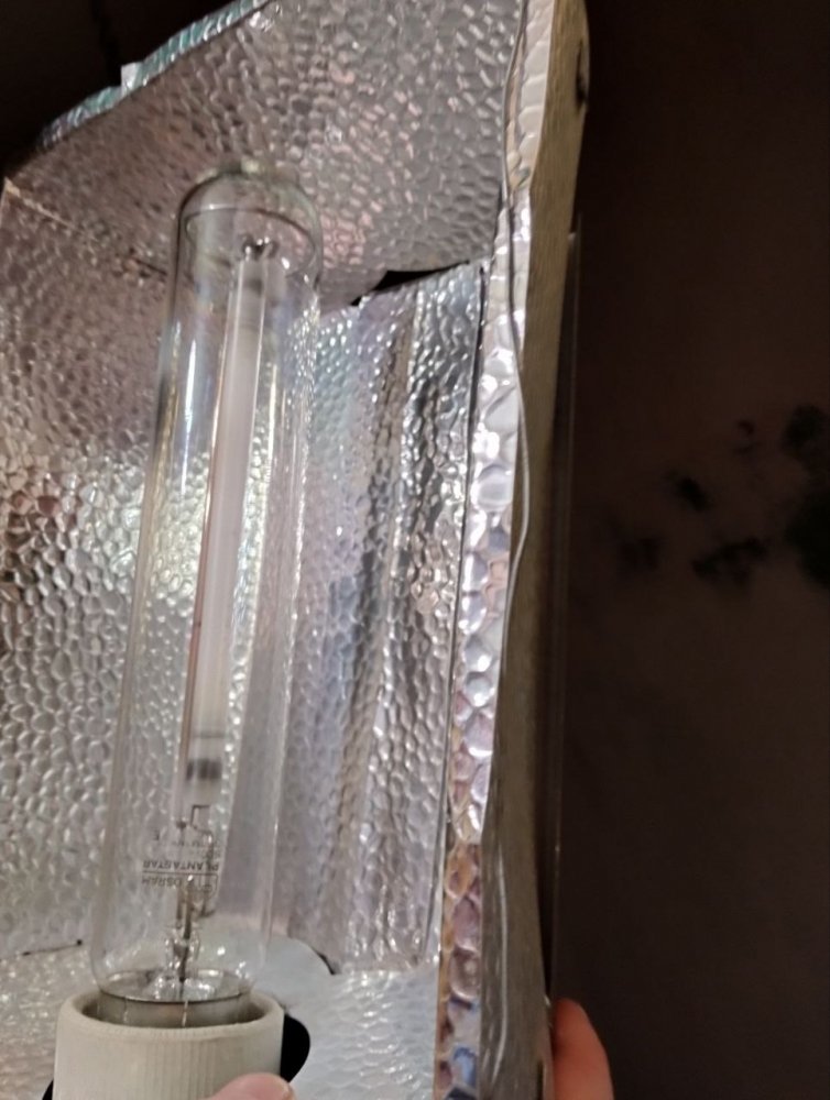 93c95a00-a0f1-4b82-859f-17781d05a17b.thumb.jpg.1832e7f4fd85447eece60f27ea9d72b8.jpg