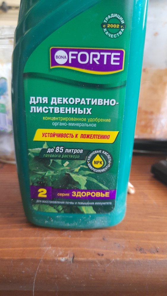 IMG-20230328-WA0007.jpeg
