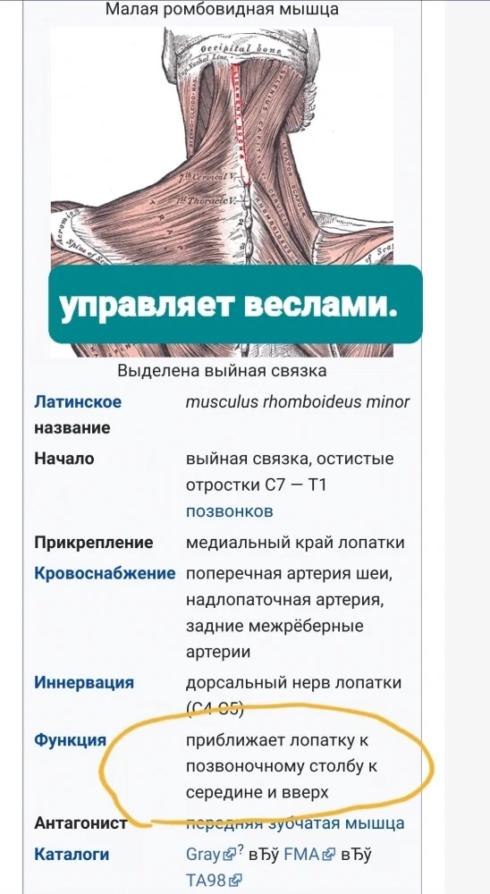 0iBaSDzBPF4.jpg