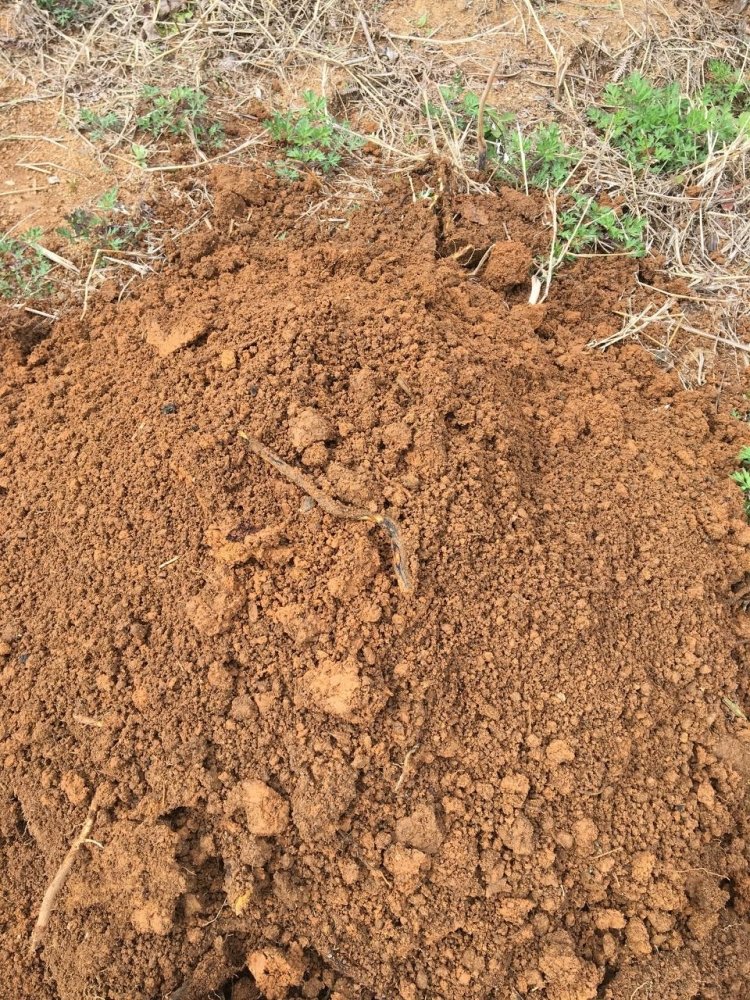 photo_2023-04-04 18.36.32.jpeg