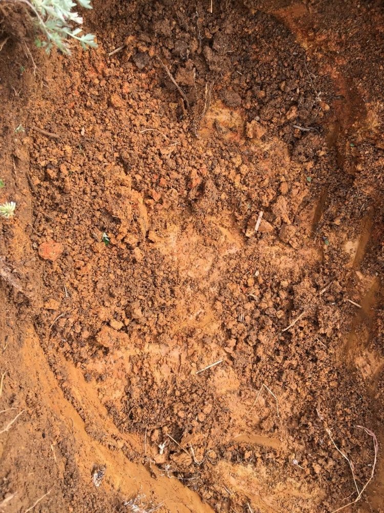 photo_2023-04-04 18.36.20.jpeg