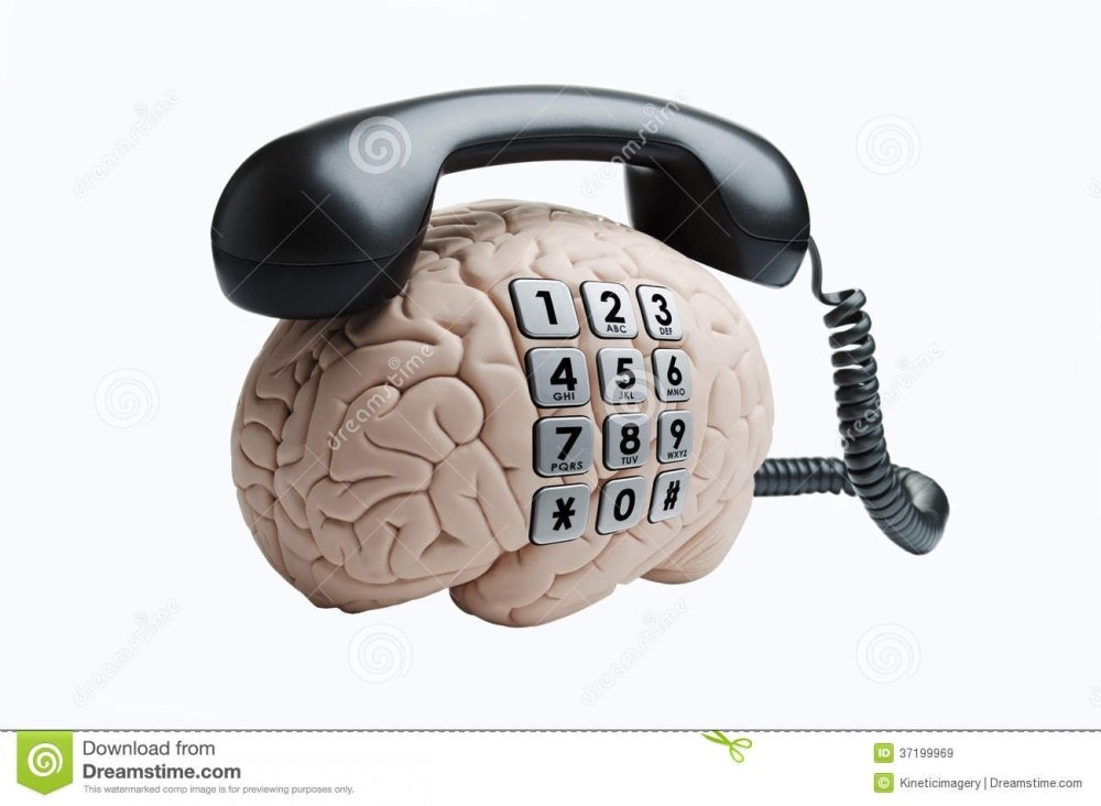 1836690629_crebro-com-telefone-37199969.thumb.jpg.1a61808a8c5d74f4d9c282534cea46ea.jpg