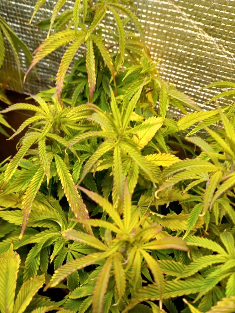 20230408_170713.jpg