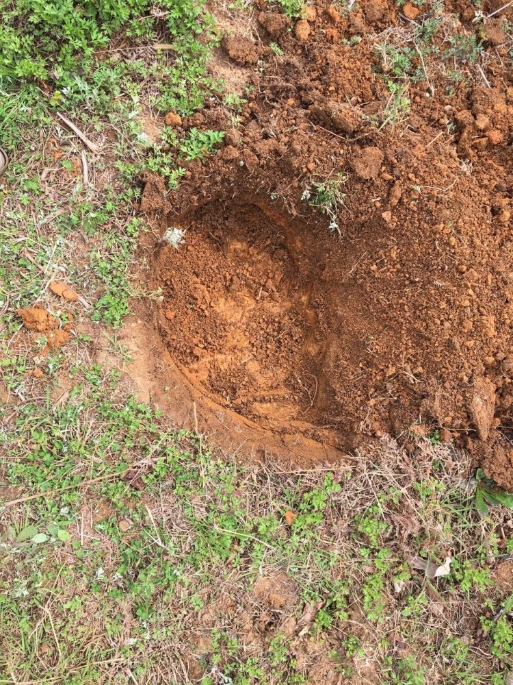 photo_2023-04-04 18.36.40.jpeg