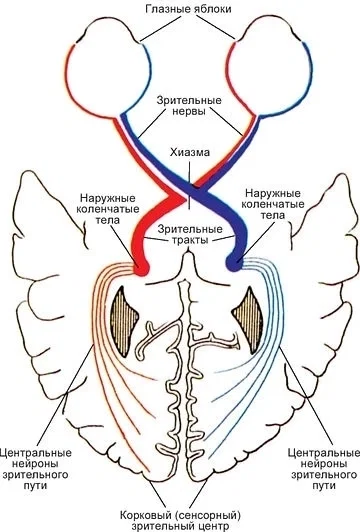 2T0n3nmwSBs.jpg.7f85ef4b3643e1bd672218cbd03857b3.jpg