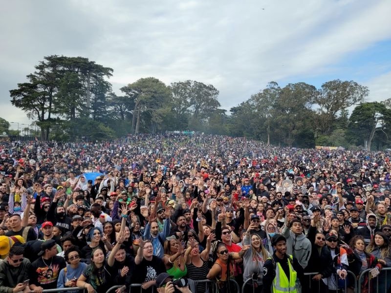 420-hippie-hill.jpg