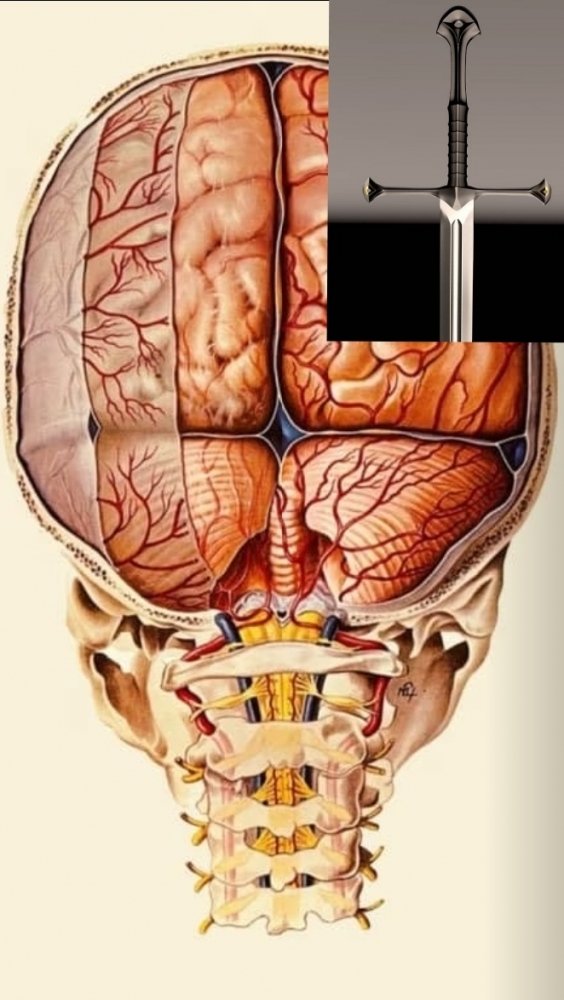 801372778_Screenshot_20230423-151247_SamsungInternet.thumb.jpg.cccd67e8a1aa760f95d5e676aec340ef.jpg