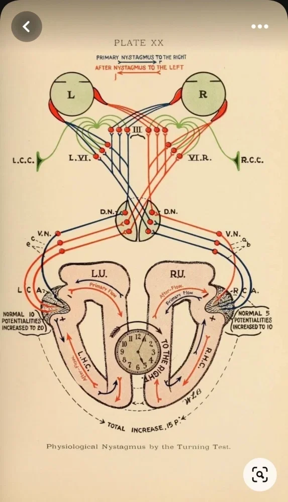 FLwhvVrpK4w.thumb.jpg.3d8ff710c05550c21c20de1a2059fe6b.jpg