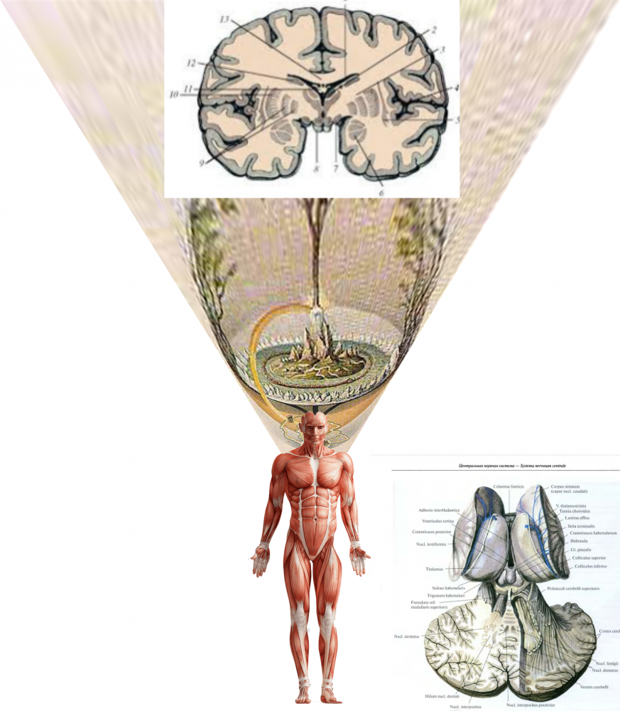 IMG_20230426_115945_106.thumb.png.b48e696abee63b4abd0d744761bc35c2.png