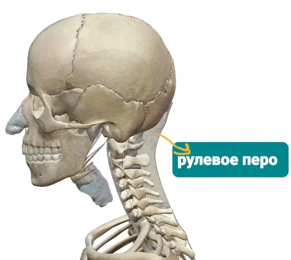KeirlcLYhOU.thumb.jpg.ddd49dd758864e59212f3a5f0e90a6fe.jpg