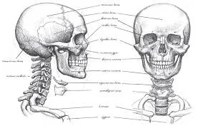 RtcehEXmMaI.jpg.f1b8ad12214c254f57a8050d8b1009a0.jpg