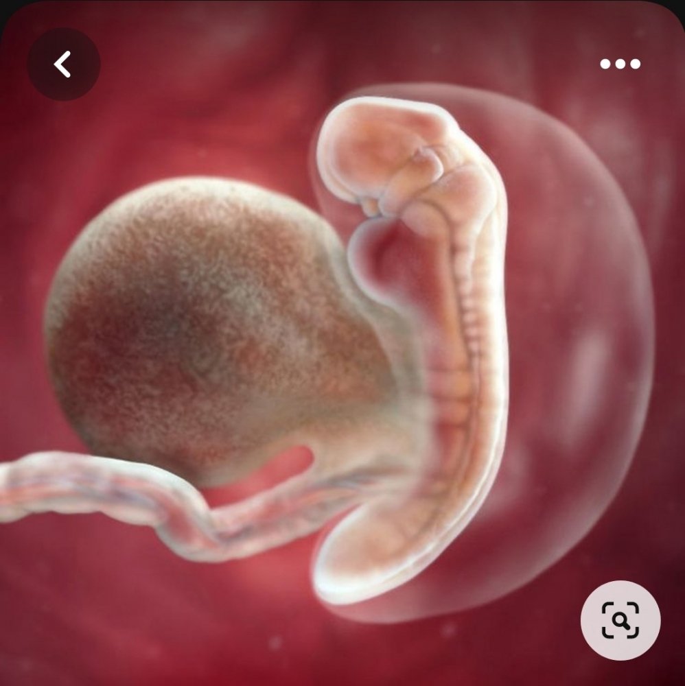 Screenshot_20230421-194516_Pinterest.thumb.jpg.e0743f956ca1d46f489933eea2f47661.jpg