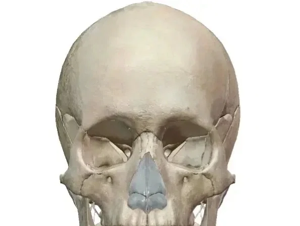 UCRvIdoywPY.jpg.784ad79436cc4f4368c07bd8b6765a83.jpg