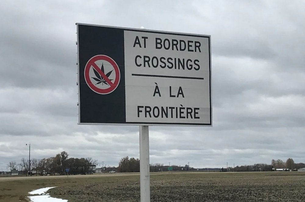 cannabis-board-canada.jpg