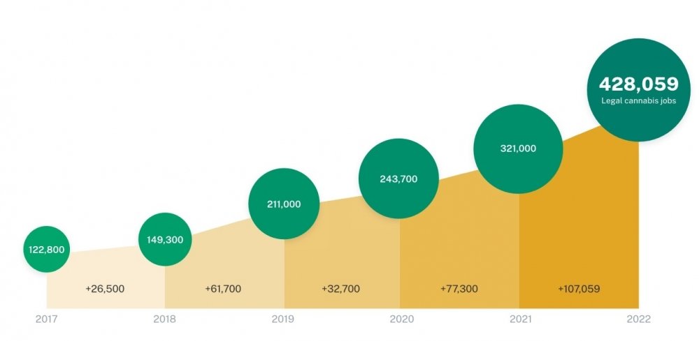 cannabis-jobs-growth.jpg