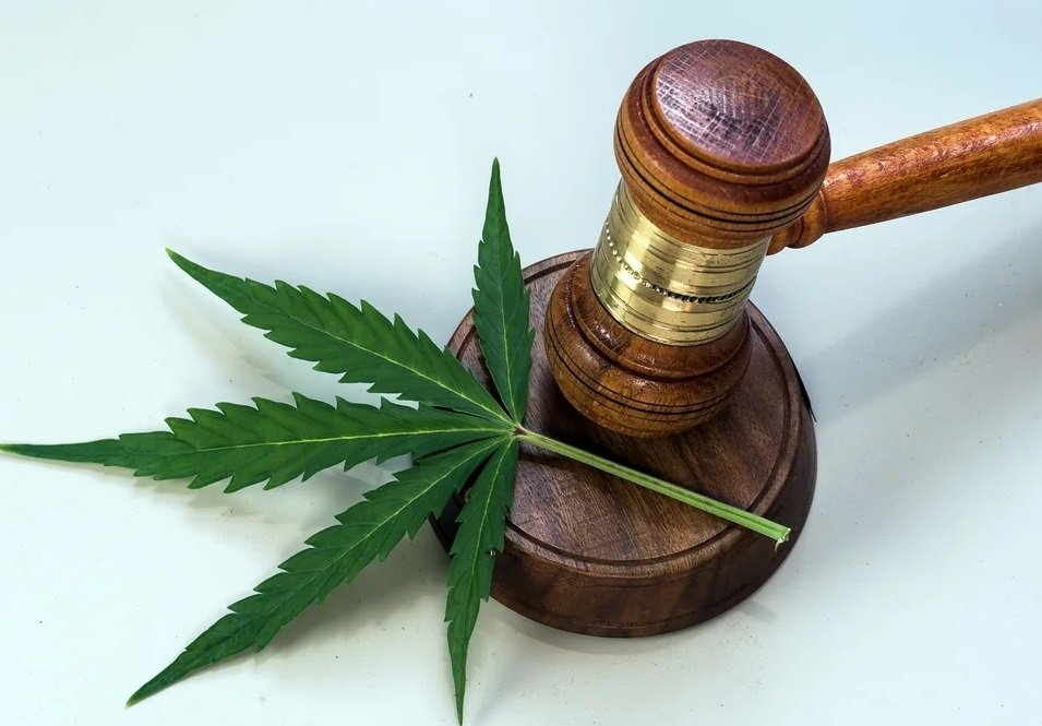 cannabis-legal.jpg