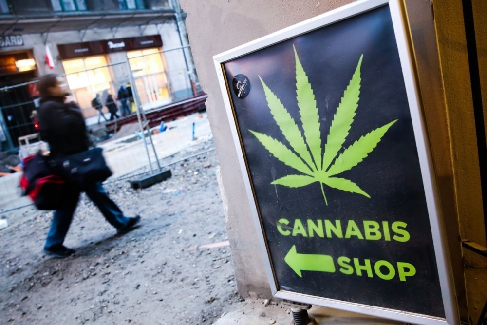 cannabis-shop.jpg