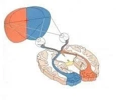 clDAkxynZ08.jpg.51e3cf35068d8980da1db9444d4c8d7e.jpg