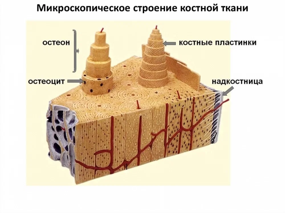 epmWcCh8Xag.thumb.jpg.aa4cb5f2f376e049d2fb6b5e830cf8a9.jpg