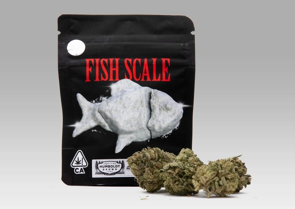 fish-scale.jpg