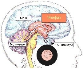 htmlconvd-WQvhoN_html_ddfa689d90ef381.jpg.e715db257eeaeec6cec03bd0d8e67f3e.jpg
