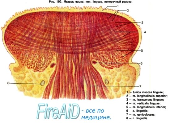 htmlconvd-zPC8dF_html_2e58d7542f34e906.jpg.411999b93a67fe8a4d8b059646f6a21a.jpg