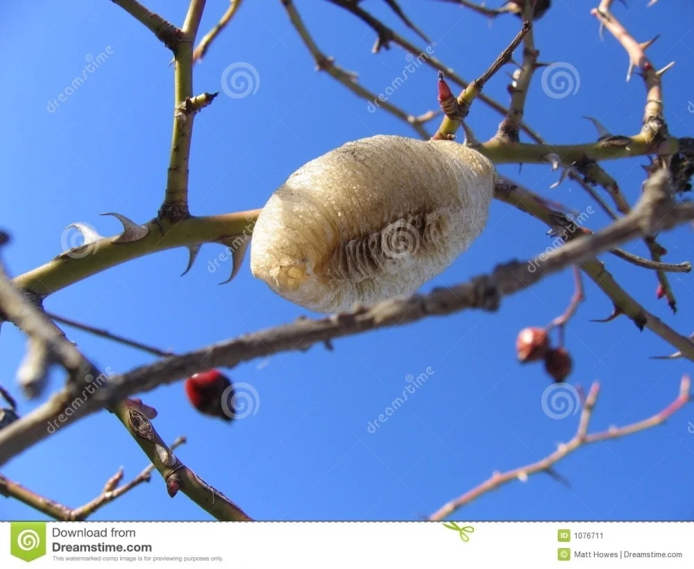 k-kWT62aWGc.thumb.jpg.6d3d88f3a0e4985811b1d0b0c5d5ae5d.jpg