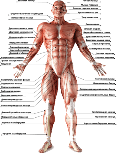 1424274214_-1.png.a32e3c32f4d9dd3d8c655a4ae60b08e5.png