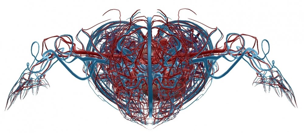 Screenshot_20230510-155031_Atlas.thumb.jpg.b220bfcc1e43300e0174b5bebdb3cdc6.jpg