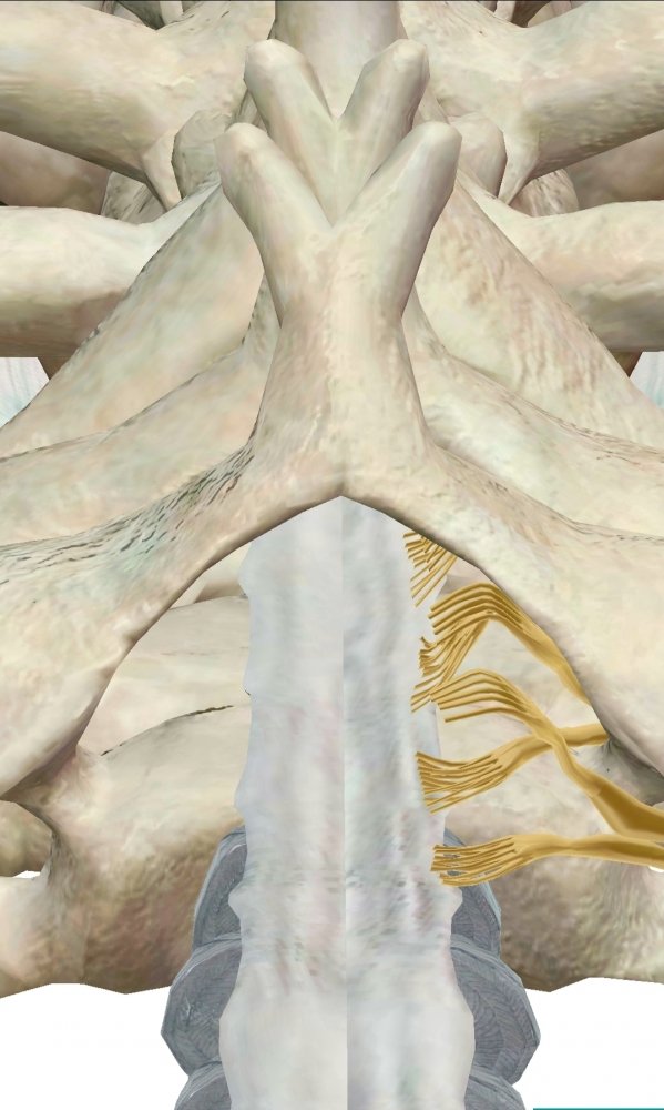 Screenshot_20230522-114758_Atlas.thumb.jpg.cec39cb23e9e7b6ee6634798ad7b8901.jpg