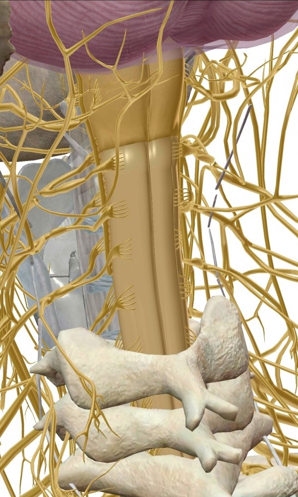Screenshot_20230522-114944_Atlas.thumb.jpg.1d29bafa2165ea4145f6b59dbe8a367b.jpg