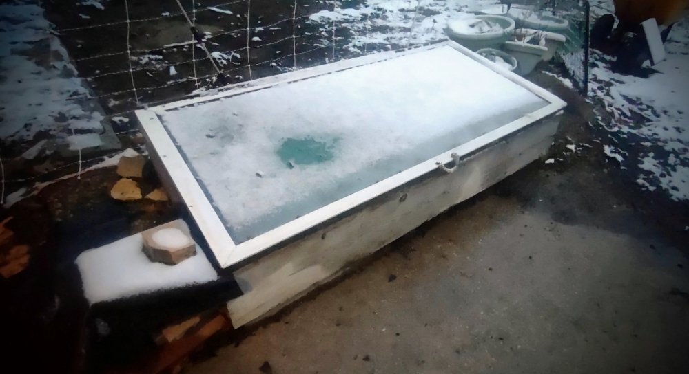 cannabis-greenhouse-winter.jpg