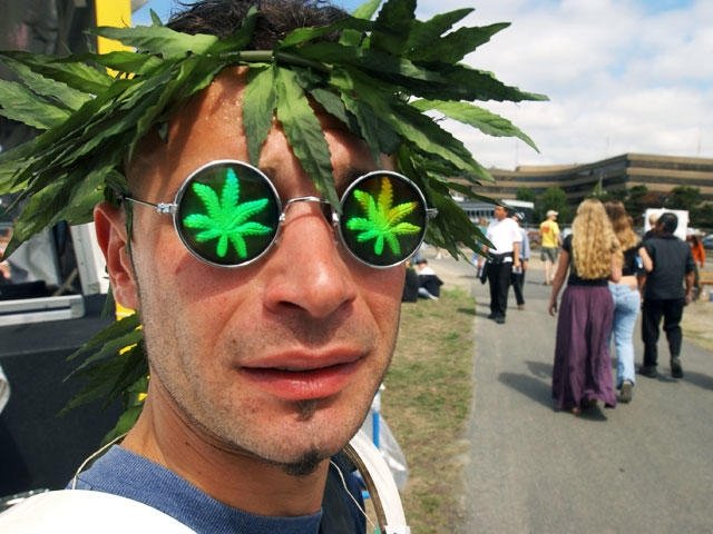 cannabis-man.jpg