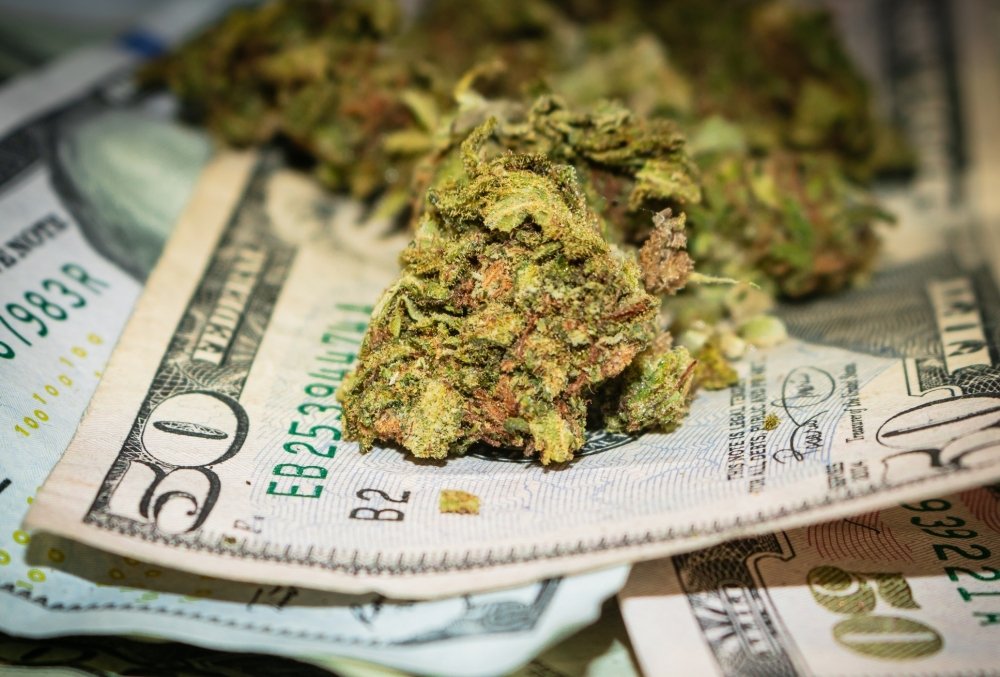 cannabis-money.jpg