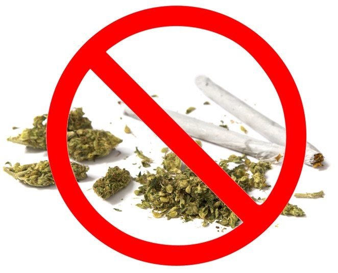cannabis-prohibited.jpg