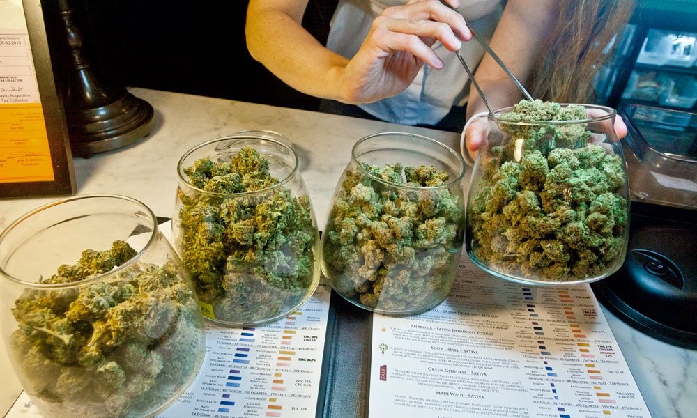 cannabis-sale.jpg