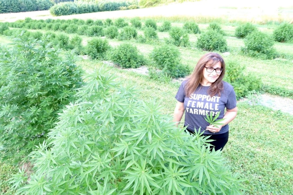 hemp-grow.jpg