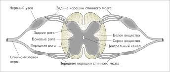 images.jpeg-32.jpg.6896f0094155aef5c0b0ad1943845071.jpg