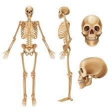 images.jpeg-65.jpg.ff0f05765342dbd7ce704f867e4b4b04.jpg
