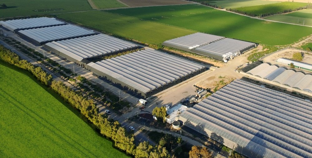 intercure-cannabis-farm.jpg